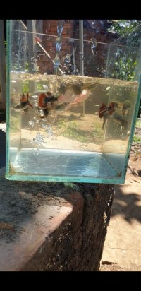 Screenshot_20240315-205258_Video Player.jpg