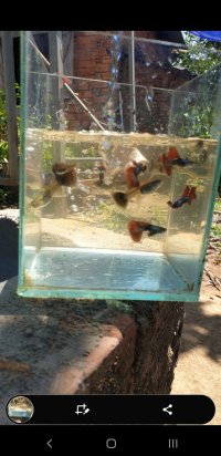 Screenshot_20240315-205301_Video Player.jpg