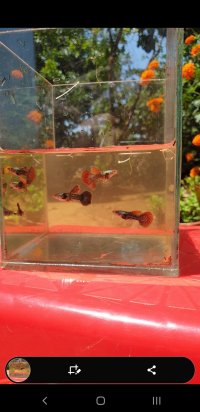 Screenshot_20240315-205321_Video Player.jpg