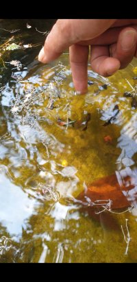 Screenshot_20240314-135951_Video Player.jpg