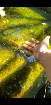 Screenshot_20240320-214540_Video Player.jpg