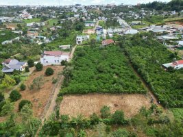 z4950619920186_a4685552787ce2645245d9a3f77f54b6 - Copy.jpg