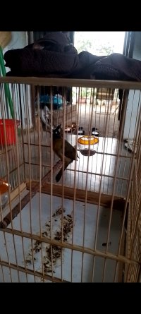 Screenshot_20240420-182302_Video Player.jpg