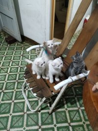 IMG20240418200739 (2).jpg