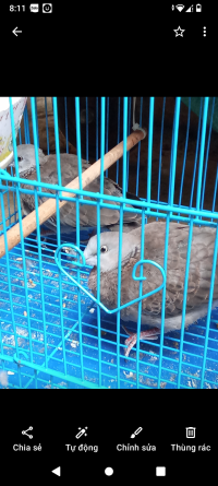 Screenshot_20240428-081111.png Screenshot_20240428-081111.png