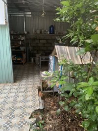 z5419310073723_371635160970578e81e49fd4f5ee80e2 - Copy.jpg