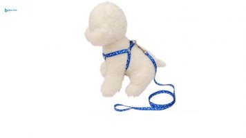 Dây dắt chó (2).jpg