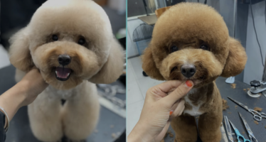 Ảnh màn hình 2024-11-29 lúc 10.11.49.png