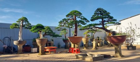 20250117_074951.jpg 20250117_074951.jpg