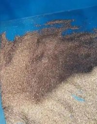 may-nghien-phe-lieu-va-tach-day-dong (5).jpg may-nghien-phe-lieu-va-tach-day-dong (5).jpg