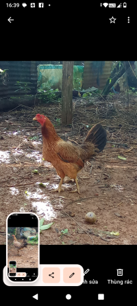 1000014937.png 1000014937.png