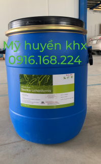 BACILLUS LICHENFORMIS.png