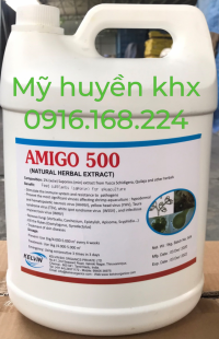AMIGO 500.png