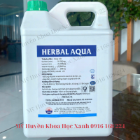 Herbal aqua ms.png