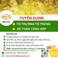 Bản sao của Tây Ninh.webp