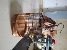 1000010127.webp