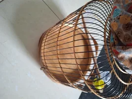 1000010128.webp