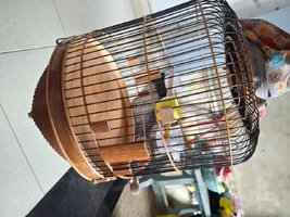 1000010129.webp