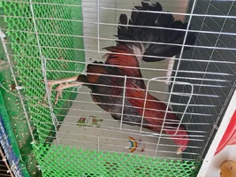 1000006590.webp