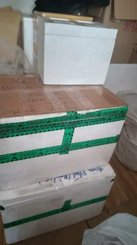 z7793451740347_3158b7071ca26ca2c11bbb1115b89371.webp
