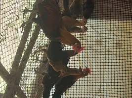 20260422_111908.webp