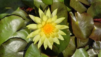 IMG_20260513_101849.webp
