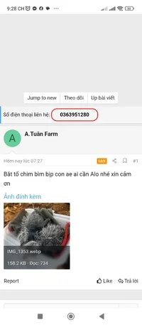 1000002619.webp