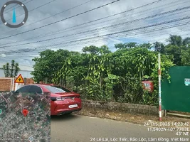 24 LE LAI 1.webp