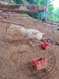 1000002123.webp