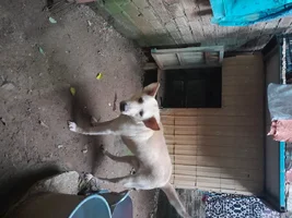 1000003051.webp