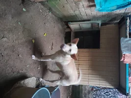 1000003050.webp