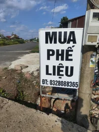 1000471300.webp
