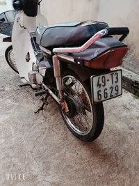 1000007248.webp