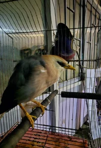1000041419.webp