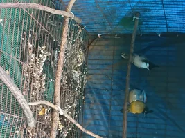 20260526_061107.webp