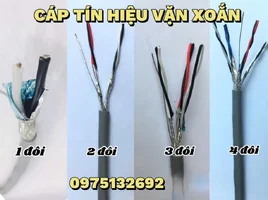 z7730475518609_393e08555e92a422bbcb139fcdf1cef0.webp