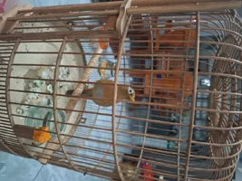 1000022409.webp