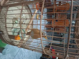 1000022407.webp