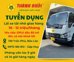 LX tải nhỏ.webp