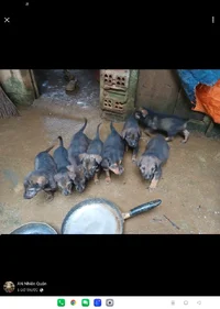 1001200032.webp