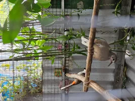 1000005052.webp