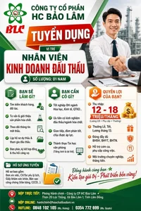nv kinh doanh đấu thầu.webp