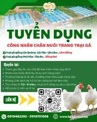 1780985231729.webp