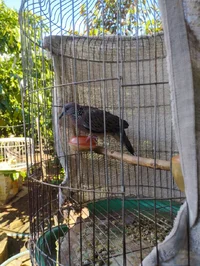 1000007021.webp