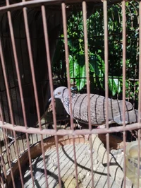 1000007027.webp