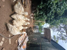 1000030520.webp