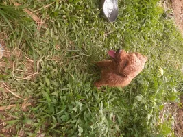 20260619_153758.webp