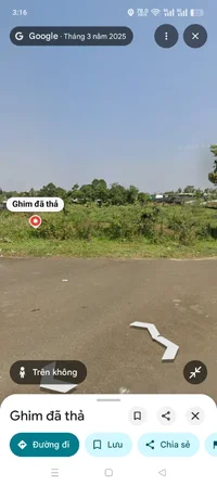 1000151802.webp