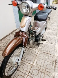 1000008004.webp