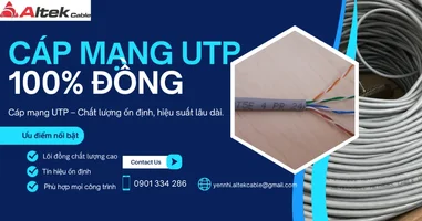 61.webp